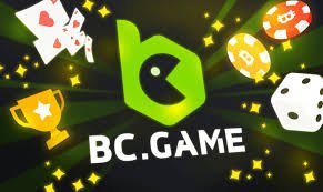 Understanding the BC.Game Login Process A Comprehensive Guide -173087139