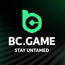 Understanding the BC.Game Login Process A Comprehensive Guide -173087139